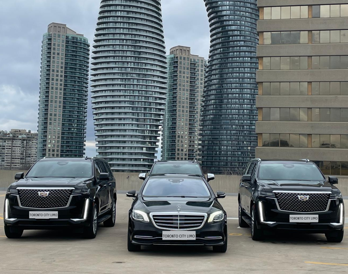 Three cars with logo on plates